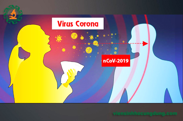 Các triệu chứng khi nhiễm virus nCoV là gì?