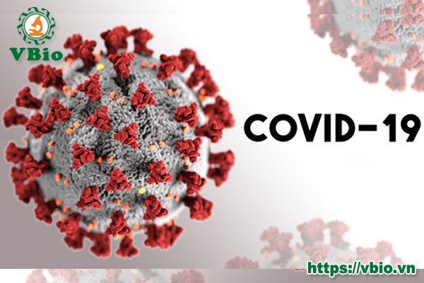 Cách phòng ngừa dịch Covid 19