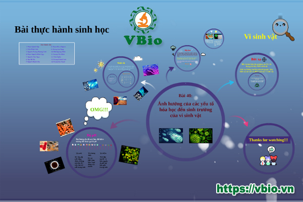 THỰC HÀNH VI SINH VẬT HỌC