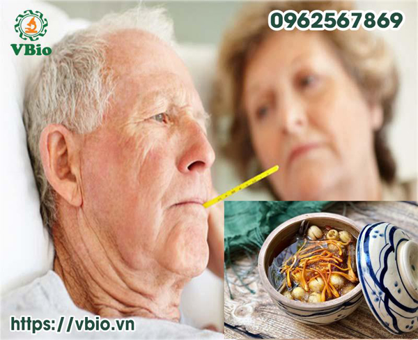 Người lớn tuổi được chăm sóc sức khỏe tuyệt vời với đông trùng hạ thảo