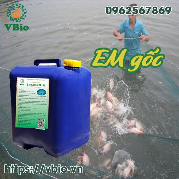 men vi sinh trộn thức ăn cho cá