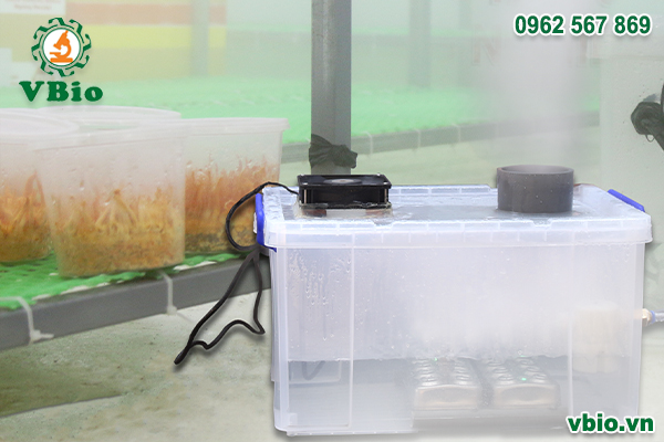 Máy phun sương tạo ẩm phòng nuôi trồng đông trùng hạ thảo 2 vỉ phun SUMO510W