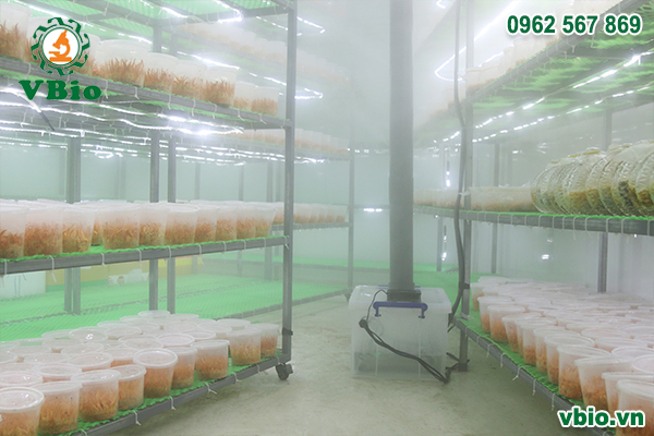 Máy tạo ẩm nhà nấm đông trùng hạ thảo 1 vỉ phun SUMO260W