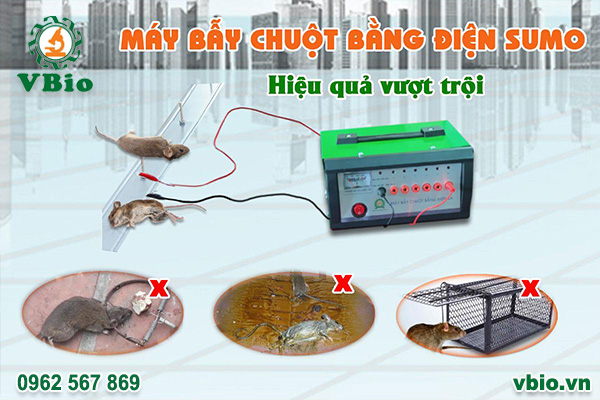 Máy đánh chuột thông minh bằng điện SUMO