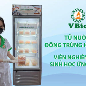 tủ nuôi đông trùng hạ thảo