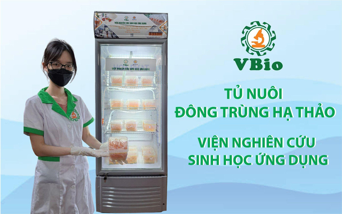 tủ nuôi đông trùng hạ thảo