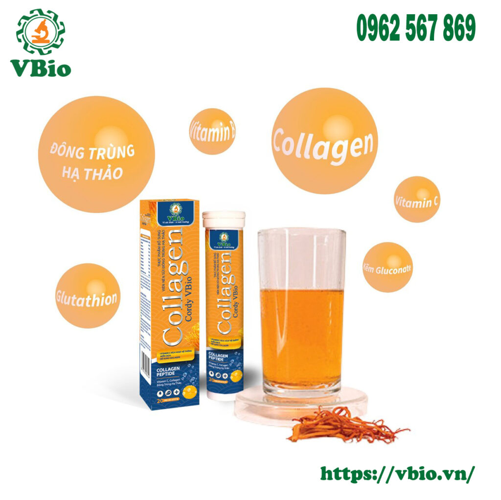 Thực Phẩm Bổ Sung Viên Sủi Collagen Cordy SUMO Cao Cấp