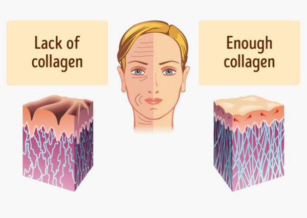 lợi ích collagen đối với sức khỏe