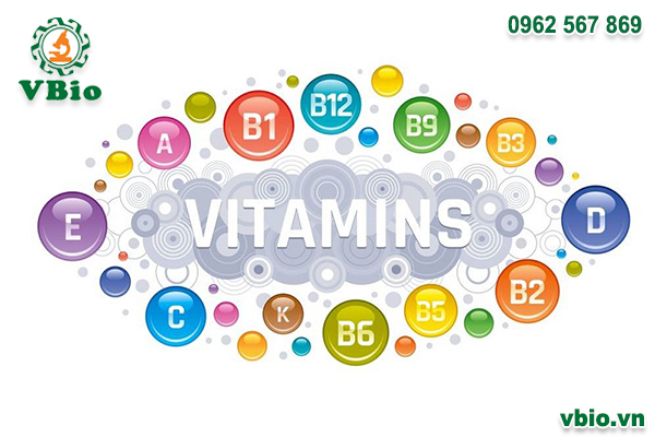 Vitamin và khoáng chất