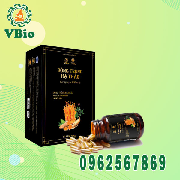 Viên Nang Đông Trùng Hạ Thảo VBio: Thực phẩm bổ sung Cordyceps Militaris