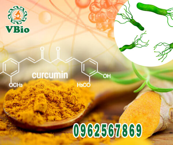 Nano curcumin