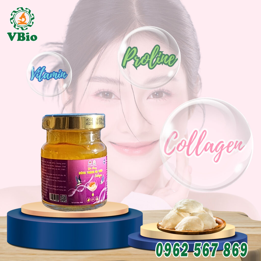 Yến Chưng Collagen VBIO