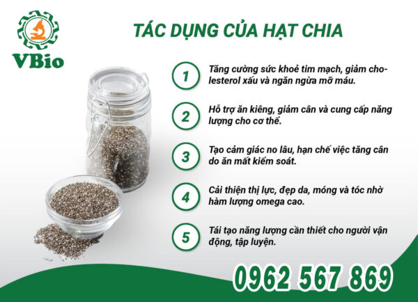 Công dụng của hạt chia