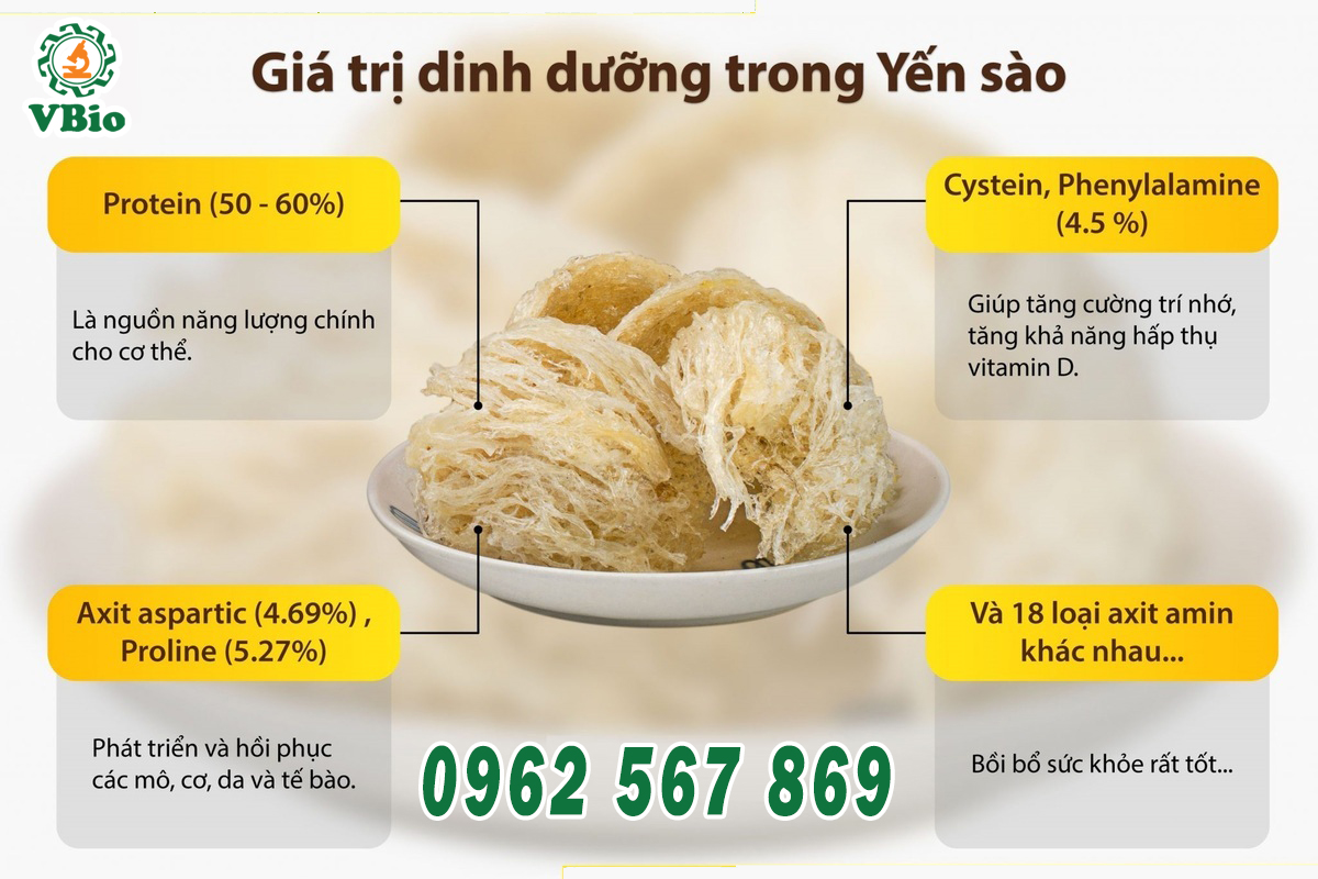 tác dụng của tổ yến