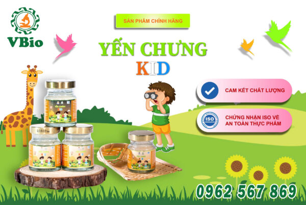 yến chưng kid