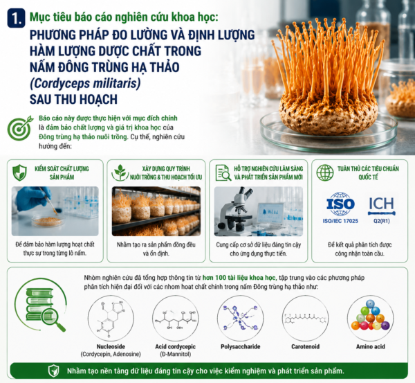 Mục tiêu báo cáo nghiên cứu khoa học: PHƯƠNG PHÁP ĐO LƯỜNG VÀ ĐỊNH LƯỢNG HÀM LƯỢNG DƯỢC CHẤT TRONG NẤM ĐÔNG TRÙNG HẠ THẢO (Cordyceps militaris) SAU THU HOẠCH