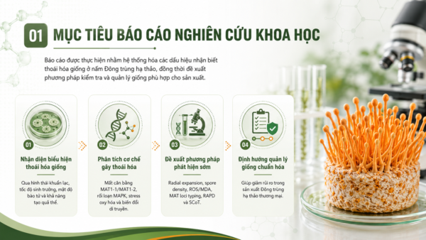 Mục tiêu Báo cáo khoa học Phương pháp nhận biết hiện tượng thoái hóa giống ở nấm Đông trùng hạ thảo Cordyceps militaris