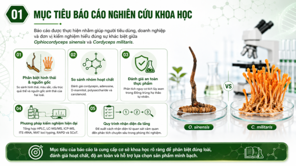 Mục tiêu Báo cáo khoa học Phương pháp phân biệt giữa Đông trùng hạ thảo tự nhiên và nấm nuôi trồng nhân tạo
