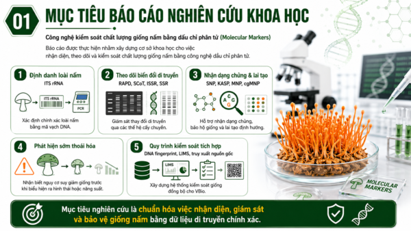 Mục tiêu báo cáo nghiên cứu khoa học: Công nghệ kiểm soát chất lượng giống nấm bằng dấu chỉ phân tử Molecular Markers