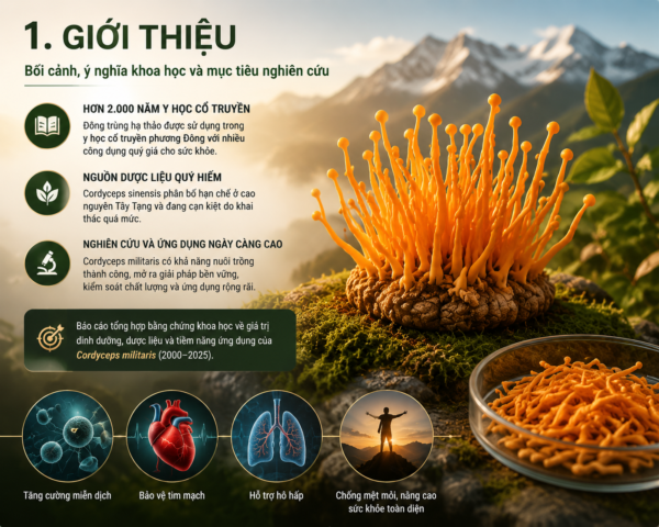 Giới thiệu Đông Trùng Hạ Thảo Nuôi Trồng