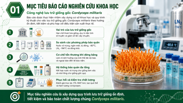 Mục tiêu báo cáo nghiên cứu khoa học Công nghệ lưu trữ giống gốc nấm Đông trùng hạ thảo Cordyceps militaris trong nước vô trùng