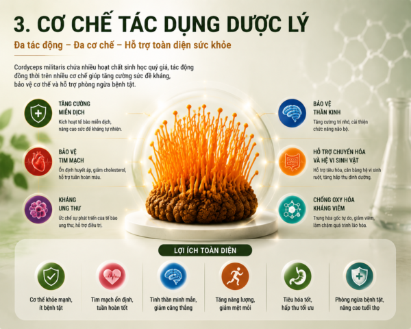 Công Nghệ Nuôi Trồng Tối Ưu
