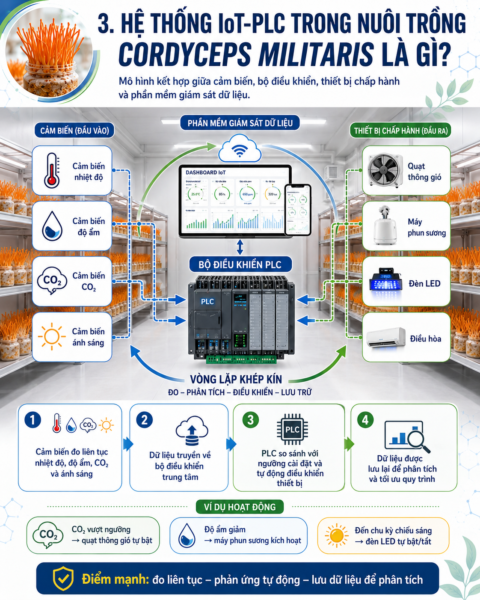 Hệ thống IoT-PLC trong nuôi trồng Cordyceps militaris là gì?
