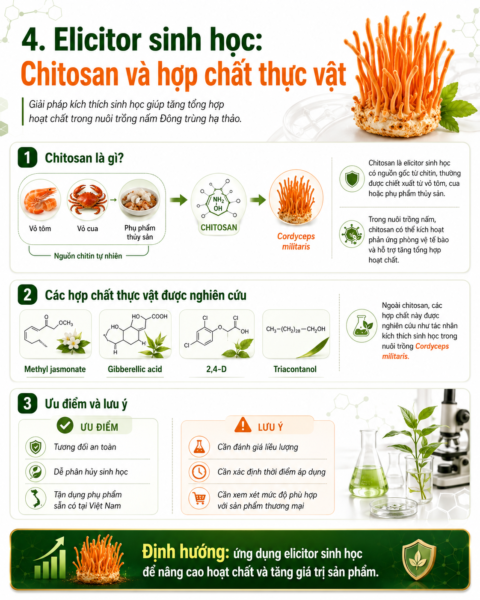 Elicitor sinh học: Chitosan và hợp chất thực vật