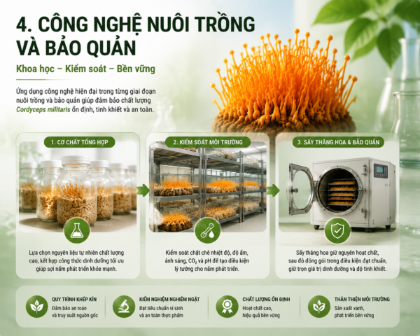Cơ chế tác dụng dược lý