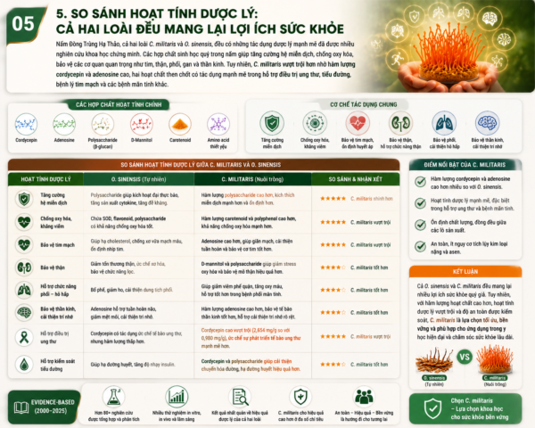 So Sánh Hoạt Tính Dược Lý: Cả Hai Loài Đều Mang Lại Lợi Ích Sức Khỏe