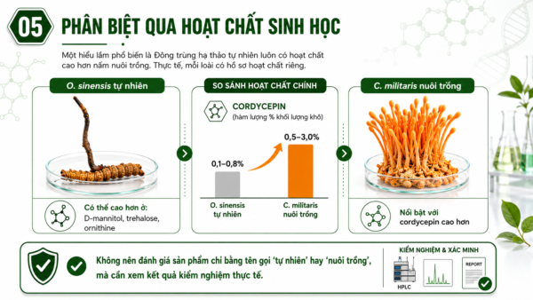 Phân biệt qua hoạt chất sinh học