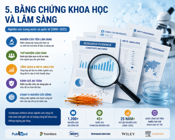 Ứng Dụng Lâm Sàng và Kết Quả Nghiên Cứu Mới Nhất