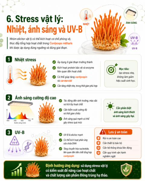Stress vật lý: Nhiệt, ánh sáng và UV-B
