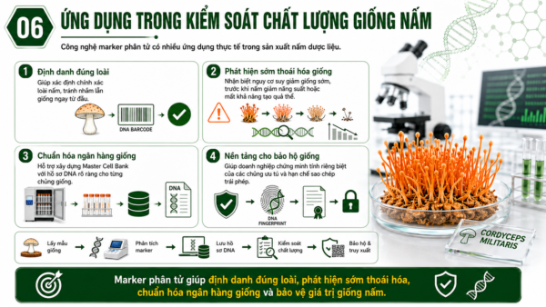 Ứng dụng trong kiểm soát chất lượng giống nấm