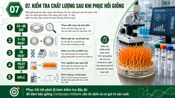 Kiểm tra chất lượng sau khi phục hồi giống