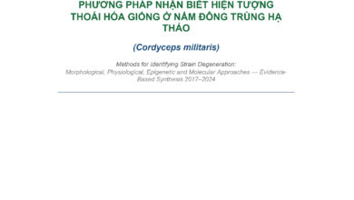 PHƯƠNG PHÁP NHẬN BIẾT HIỆN TƯỢNG THOÁI HÓA GIỐNG Ở NẤM ĐÔNG TRÙNG HẠ THẢO