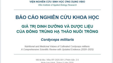 Giá Trị Dinh Dưỡng và Dược Liệu Của Đông Trùng Hạ Thảo Nuôi Trồng
