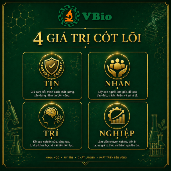 giá trị cốt lõi