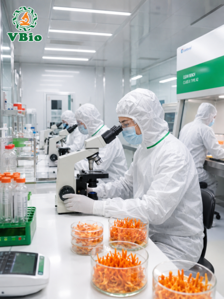 phòng thí nghiệm đạt chuẩn ISO